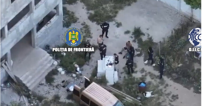 video saci intregi de canabis gasiti de politie la o descindere langa bucuresti 6aa15b99f109e