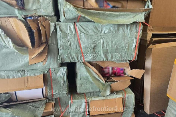 videofoto 60 000 de jucarii suspectate a fi contrafacute confiscate in portul constanta marfa valora peste 700 000 de lei 6aa7b04c7fd31