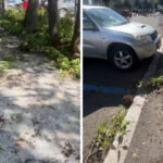 videofoto primarul sectorului 1 a sesizat organele abilitate pentru distrugerile din piata victoriei cei responsabili vor fi identificati 6aa9b5189e0b7