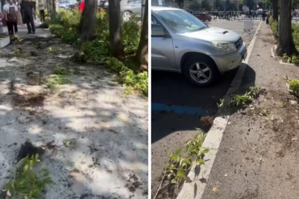 videofoto primarul sectorului 1 a sesizat organele abilitate pentru distrugerile din piata victoriei cei responsabili vor fi identificati 6aa9b5189e0b7