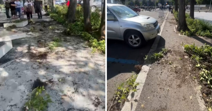 videofoto primarul sectorului 1 a sesizat organele abilitate pentru distrugerile din piata victoriei cei responsabili vor fi identificati 6aa9b5189e0b7