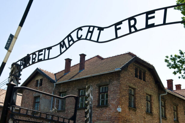 ce amenda a primit un lituanian care a facut salutul fascist in lagarul de la auschwitz 6acd1c60ecafe