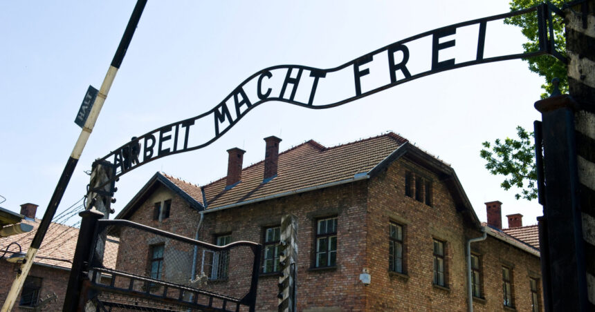 ce amenda a primit un lituanian care a facut salutul fascist in lagarul de la auschwitz 6acd1c60ecafe