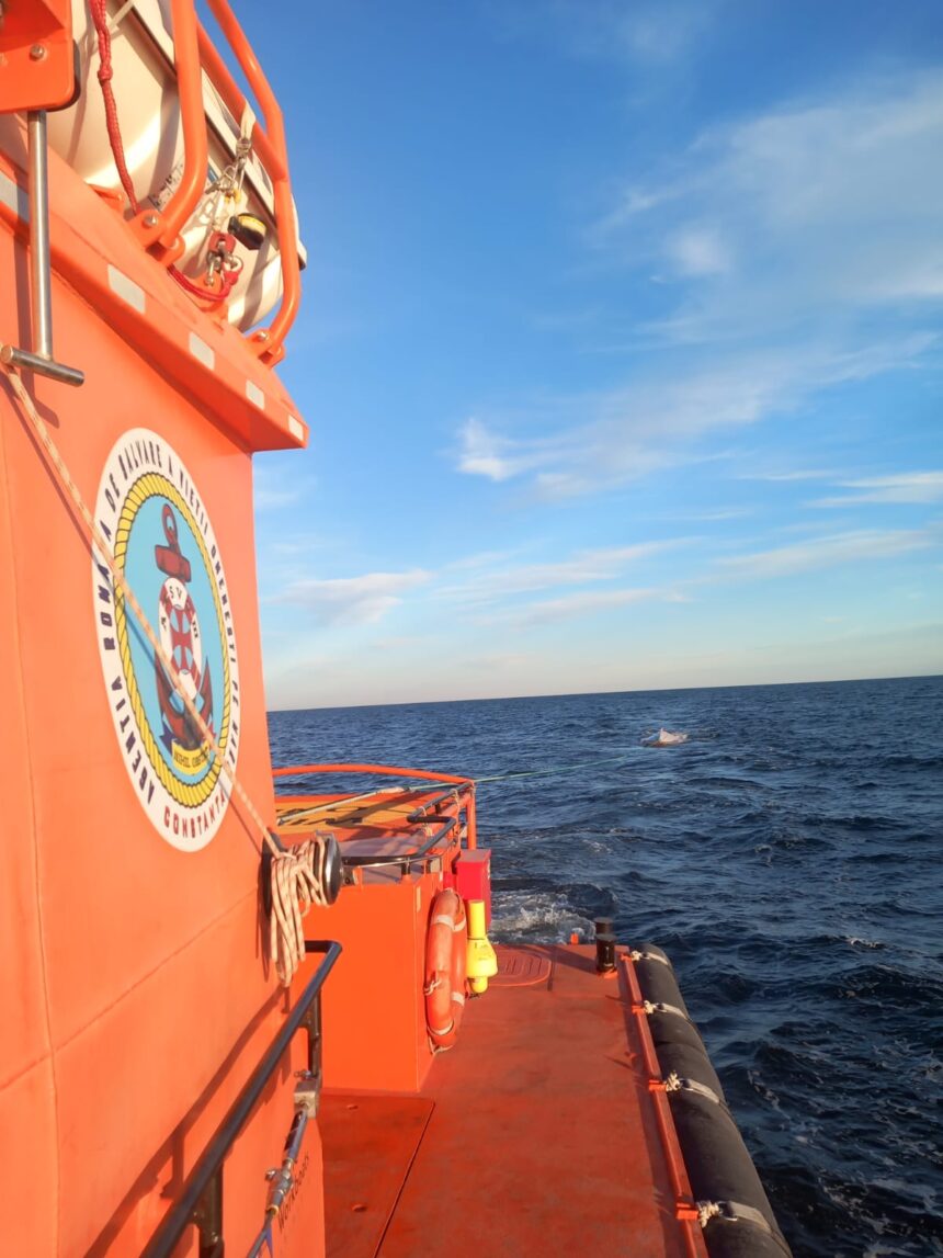 ce spune anr despre nava care se scufunda aproape de constanta 13 membri ai echipajului sunt disparuti 6ac379f086323