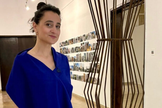 cine este ioana ciocan propunerea pentru ministerul culturii in guvernul luca niculescu 6ad0c84460d6e