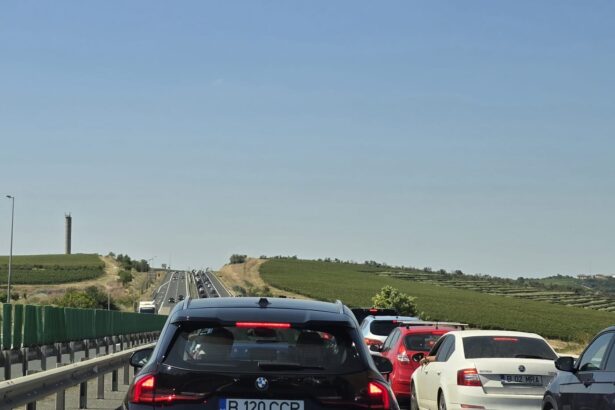 depistat baut posibil si drogat fara permis de conducere la volanul unei masini care rula pe autostrada spre cernavoda 6ac20c1fb1001