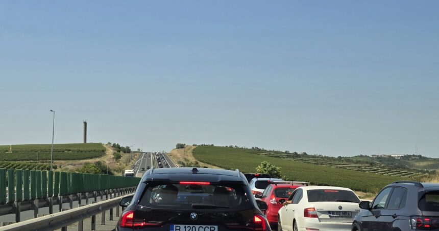 depistat baut posibil si drogat fara permis de conducere la volanul unei masini care rula pe autostrada spre cernavoda 6ac20c1fb1001