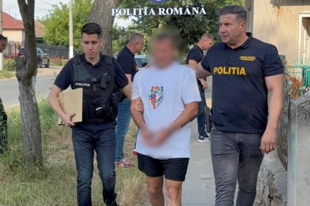 detalii din dosarul in care gica slabu a fost atacat in propria curte apar si alte parti vatamate declaratia inculpatului 6ac417f3c3219