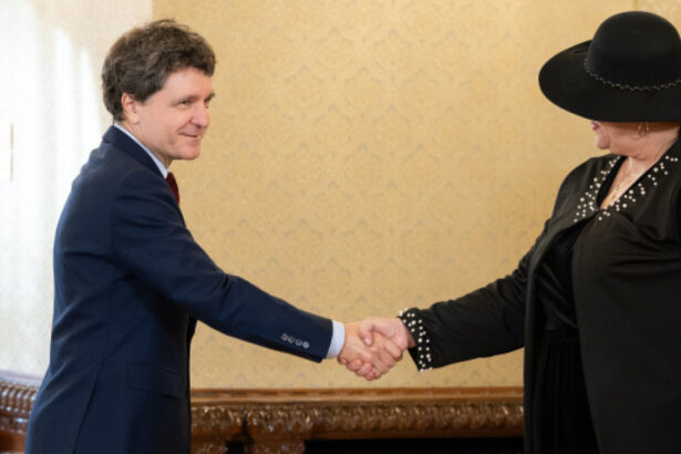 diana sosoaca a mers la cotroceni sa i spuna lui nicusor dan ca nu il recunoaste ca presedinte traiasca regina 6ac3d04d5988b