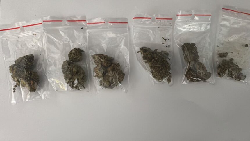 doi tineri prinsi cu droguri la purtator in medgidia substantele ii ajutau sa se calmeze 6acb3c12ea957
