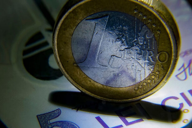 euro bate un nou record in fata leului dupa socul de pe piata interbancara cursul bnr a ajuns la 53447 lei 6abfa38ca0a1a