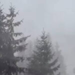 iarna s a instalat deja pe munte la altitudini mari ninsoare vant puternic ceata avertismentul salvamont prahova 6ad22da4e6df9