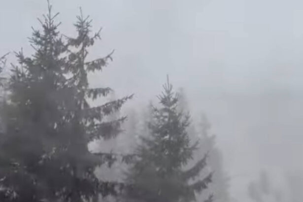 iarna s a instalat deja pe munte la altitudini mari ninsoare vant puternic ceata avertismentul salvamont prahova 6ad22da4e6df9