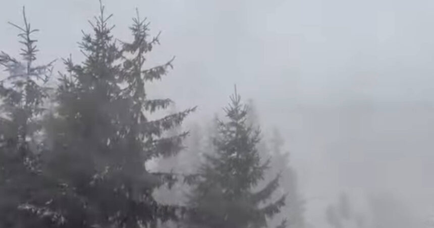 iarna s a instalat deja pe munte la altitudini mari ninsoare vant puternic ceata avertismentul salvamont prahova 6ad22da4e6df9