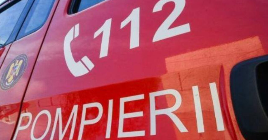 incendiu puternic in zona de locuinte improvizate craica din baia mare focul a fost pus intentionat 6ac5ff4aa23db