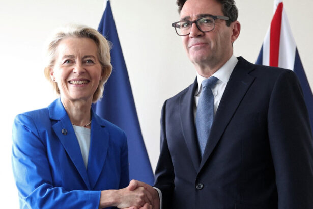 marea britanie si ue au convenit organizarea unui summit de resetare a brexitului este o discutie pe care trebuie sa o purtam 6acd34fc87eda