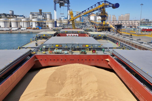 ministrul agriculturii anunta masuri in portul constanta pentru fluidizarea exporturilor de cereale romanesti 6ac3b0bfa5b53