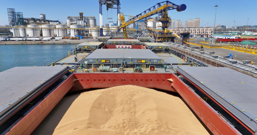 ministrul agriculturii anunta masuri in portul constanta pentru fluidizarea exporturilor de cereale romanesti 6ac3b0bfa5b53
