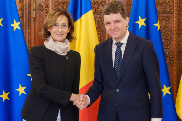 nicusor dan dialogul cu expertii europeni este esential ce a discutat cu delegatia comisiei de la venetia 6ad641f6de362