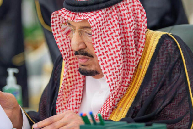 nicusor dan invitat de regele salman bin abdulaziz la un summit in arabia saudita aflata sub amenintarea atacurilor rebelilor houthi 6ace1d0cbeaa9