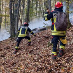 noi interventii pentru stingerea incendiilor din parcul national domogled peste 1 000 de hectare sunt afectate 6acc5e8a82d6b
