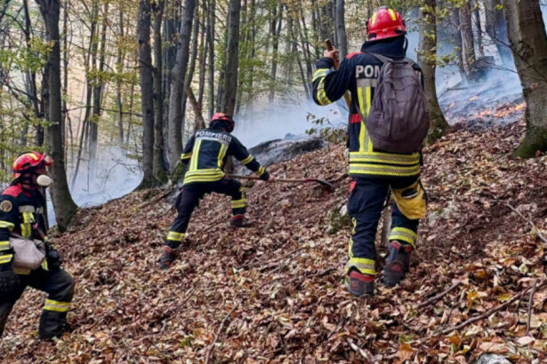 noi interventii pentru stingerea incendiilor din parcul national domogled peste 1 000 de hectare sunt afectate 6acc5e8a82d6b