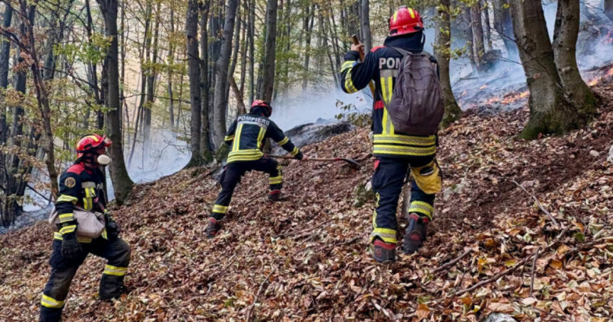 noi interventii pentru stingerea incendiilor din parcul national domogled peste 1 000 de hectare sunt afectate 6acc5e8a82d6b