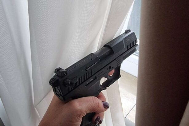 perchezitii la doi barbati care au adus in tara arme ce le au spus procurorilor 6ad2a683ceaed