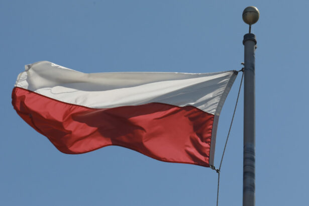 polonia ancheteaza fragmentele unei drone gasite pe o plaja la marea baltica de unde ar putea proveni 6acf4461c2691