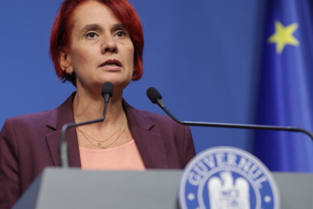 purtatoarea de cuvant a guvernului si a anuntat plecarea din functie ce i a transmis ioana dogioiu lui ilie bolojan 6ad622255b239