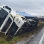 un autocamion incarcat cu floarea soarelui s a rasturnat la iesire din negureni 6abe6f85801b4
