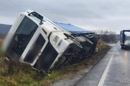 un autocamion incarcat cu floarea soarelui s a rasturnat la iesire din negureni 6abe6f85801b4