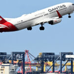 un zbor spre australia a fost anulat in ultimul moment din cauza plosnitelor de la bord pasagerii au ramas in italia 6ace07f31bbb3
