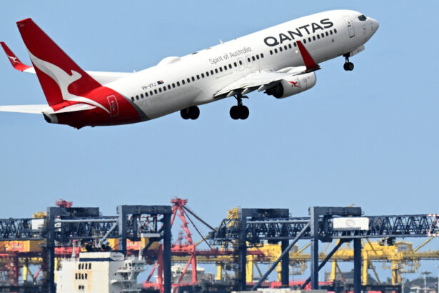 un zbor spre australia a fost anulat in ultimul moment din cauza plosnitelor de la bord pasagerii au ramas in italia 6ace07f31bbb3