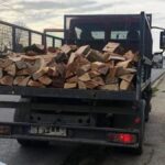 video descinderi si retineri intr un dosar de furt de arbori din padurea ocolului silvic baneasa 6ac232caa0f6b