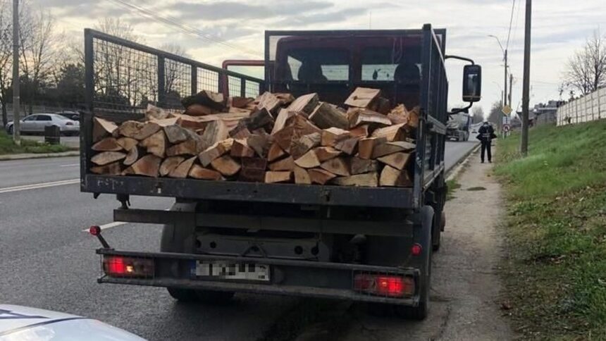 video descinderi si retineri intr un dosar de furt de arbori din padurea ocolului silvic baneasa 6ac232caa0f6b