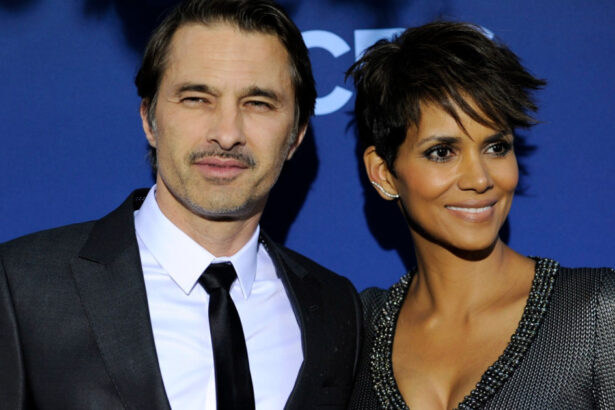 video halle berry acuzata de fostul sot ca si a agresat fiul barbatul a cerut custodia copilului si ordin de restrictie impotriva actritei 6abfc330783ac