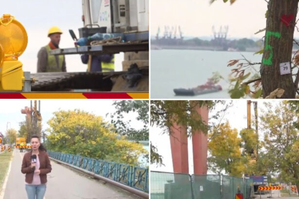 video modernizare cu scandal si proteste pe faleza dunarii din galati motivul care a revoltat localnicii trebuia expus proiectul si votat 6acdb00a28e1c