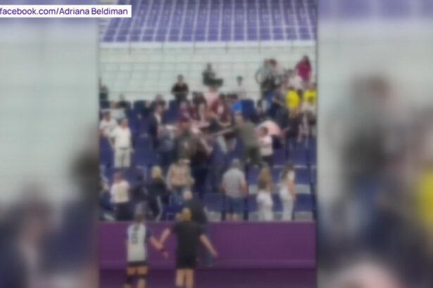 video scandal in tribune la un meci de handbal intre junioare la timisoara parintii s au luat la bataie sub privirile copiilor 6ac35fcde6c64