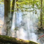 videofoto incendii de vegetatie in caras severin si valcea trei elicoptere black hawk intervin la baile herculane 6abe2b625ba1f