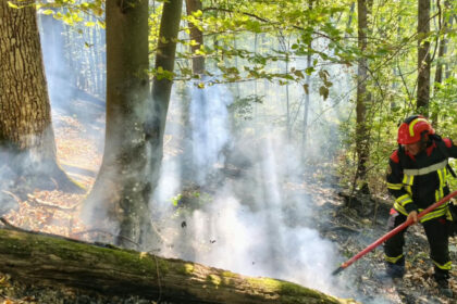 videofoto incendii de vegetatie in caras severin si valcea trei elicoptere black hawk intervin la baile herculane 6abe2b625ba1f