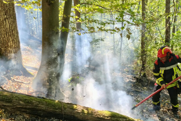 videofoto incendii de vegetatie in caras severin si valcea trei elicoptere black hawk intervin la baile herculane 6abe2b625ba1f