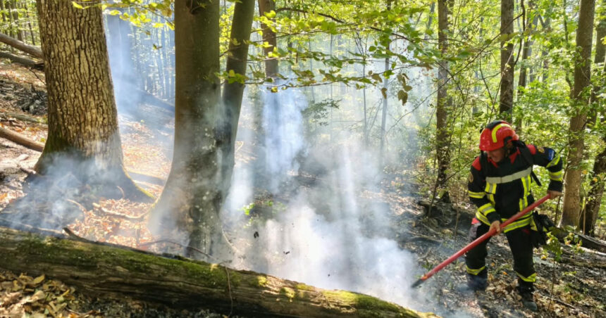 videofoto incendii de vegetatie in caras severin si valcea trei elicoptere black hawk intervin la baile herculane 6abe2b625ba1f