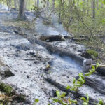 videofoto incendiile de vegetatie continua in caras severin si valcea trei elicoptere si doua aeronave militare mobilizate 6abf80681108d