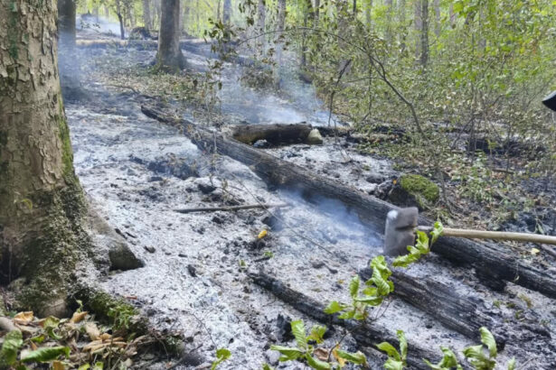 videofoto incendiile de vegetatie continua in caras severin si valcea trei elicoptere si doua aeronave militare mobilizate 6abf80681108d