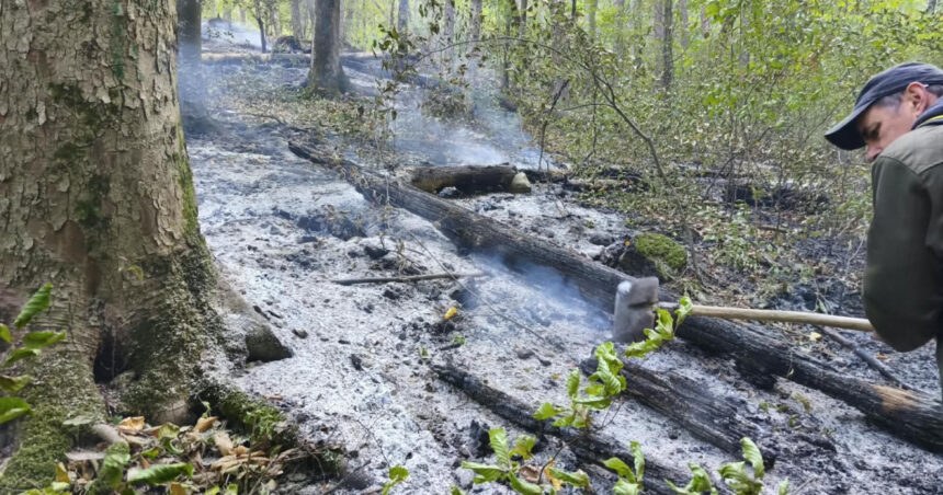 videofoto incendiile de vegetatie continua in caras severin si valcea trei elicoptere si doua aeronave militare mobilizate 6abf80681108d