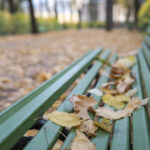 vreme mai rece decat de obicei in toata tara anm a actualizat estimarile pentru urmatoarele patru saptamani 6acdcc2ab95d6