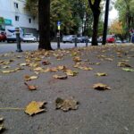 vremea se schimba radical in romania dimineti cu inghet si dupa amiezi cu pana la 26 de grade 6abe536b30aa6