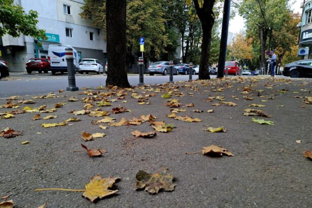 vremea se schimba radical in romania dimineti cu inghet si dupa amiezi cu pana la 26 de grade 6abe536b30aa6